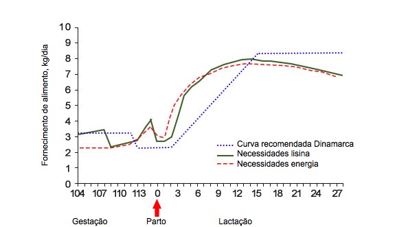 Gr&aacute;fico&nbsp;2. Quantidade de alimento necess&aacute;rio para uma&nbsp;ingest&atilde;o de energia e&nbsp;lisina ideal&nbsp;em&nbsp;compara&ccedil;&atilde;o&nbsp;com&nbsp;a curva de alimenta&ccedil;&atilde;o&nbsp;recomendada na&nbsp;Dinamarca durante a transi&ccedil;&atilde;o e&nbsp;lacta&ccedil;&atilde;o&nbsp;(Theil, 2017).
