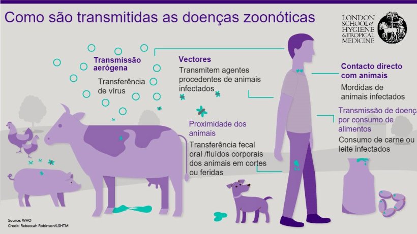 Figura 1. Rotas de transmiss&atilde;o das doen&ccedil;as zoon&oacute;ticas. As zoonoses s&atilde;o doen&ccedil;as infecciosas que podem ser transmitidas de animais a humanos, mas tamb&eacute;m de humanos a animais. Fonte: London School of Hygiene and Tropical Medicine.
