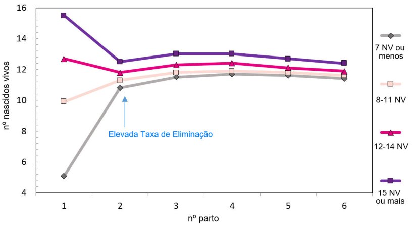 Gráfico 1. Produção ao longo da vida da porca em função dos leitões nascidos