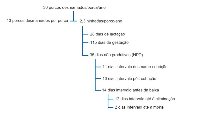 Fig. 1 Interrelação entre os DNP e outros factores de produtividade numa árvore produtiva para 30 porcos desmamados por porca e ano