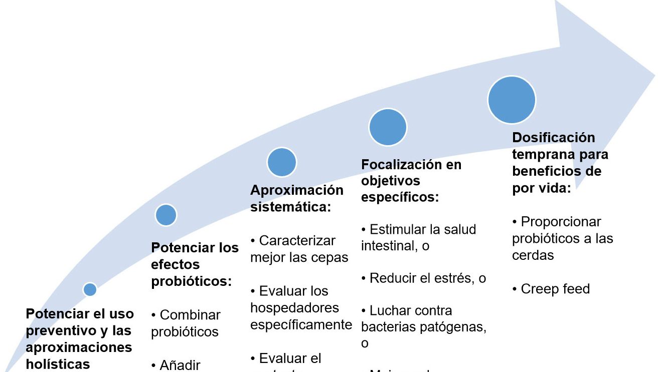 Figura 2. Estrat&eacute;gias para melhorar a utiliza&ccedil;&atilde;o de probi&oacute;ticos em etapas precoces.
