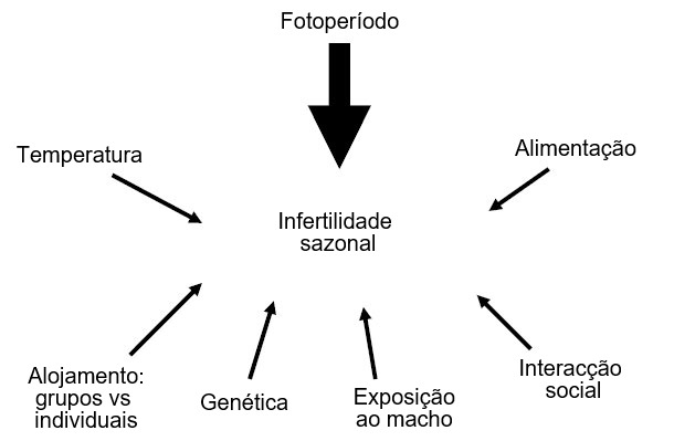 Figura7. Factores que influenciam o aparecimento de infertilidade sazonal.
