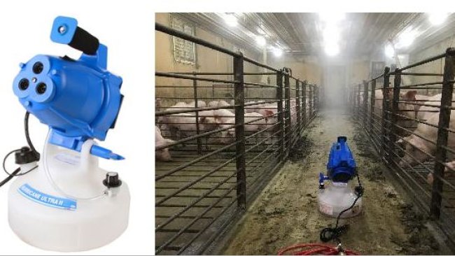 Figura 2. Exposição a aerossol de Mycoplasma hyopneumoniae de porcas de substituição