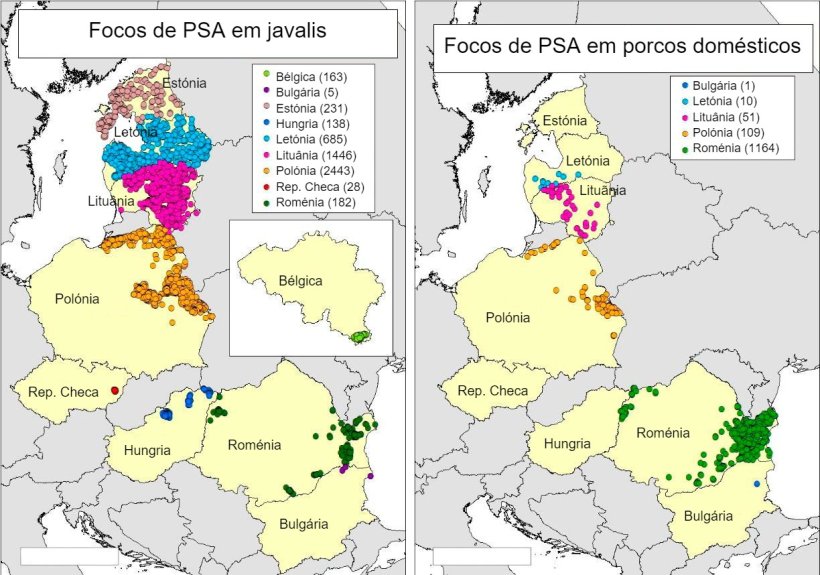 Mapa de focos declarados na B&eacute;lgica, Bulg&aacute;ria, Est&oacute;nia, Hungria, Let&oacute;nia, Litu&acirc;nia, Pol&oacute;nia, Rep. Checa e Rom&eacute;nia em 2018 (Fonte RASVE-ADNS).
