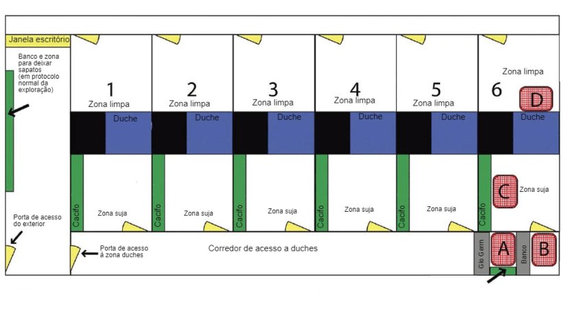 Diagrama da &aacute;rea de duches e seus acessos. O chuveiro 6 foi usado. para realizar o estudo. A localiza&ccedil;&atilde;o da bancada para os dias de tratamento e a coloca&ccedil;&atilde;o do p&oacute; fluorescente (Glo Germ) est&atilde;o indicadas. A localiza&ccedil;&atilde;o de cada ponto de amostragem &eacute; designada com as letras A, B, C e D.