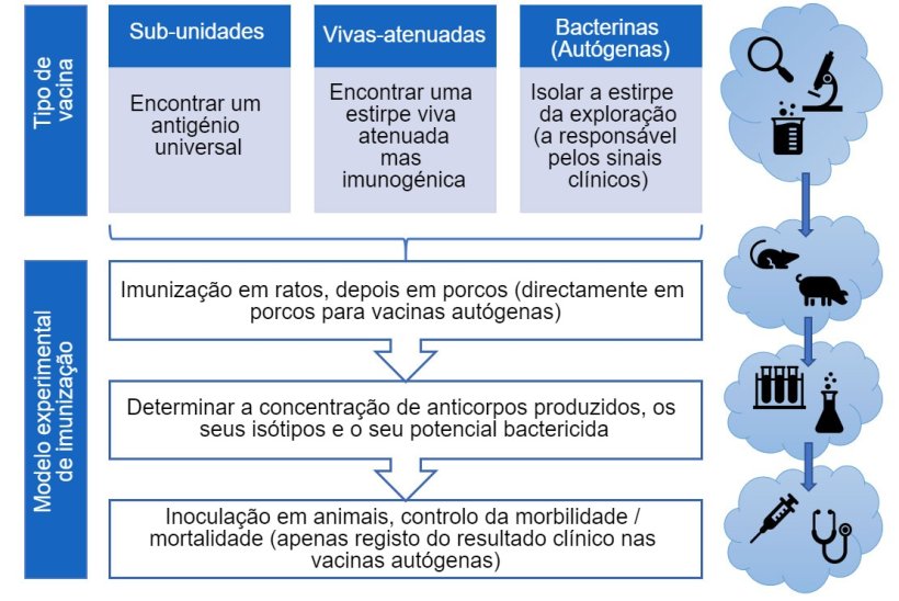 Figura 3. Passos na an&aacute;lise da efic&aacute;cia das vacinas experimentais (por tipo de vacina).