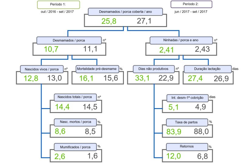 Figura 1. Árvore de produtividade de leitões desmamados/porca coberta e ano, comparação entre dois períodos.