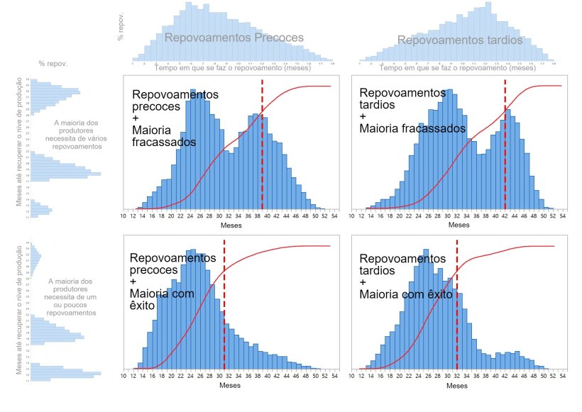 Gr&aacute;fico 1. S&atilde;o descritos quatro padr&otilde;es diferentes de repovoamento do efectivo su&iacute;no dependendo de quando se tomam as decis&otilde;es de repovoamento (precoce/tardio: parte superior do gr&aacute;fico) e o tempo necess&aacute;rio para restaurar totalmente a produ&ccedil;&atilde;o (um-poucos/v&aacute;rias tentativas isquerda do gr&aacute;fico). As distribui&ccedil;&otilde;es de probabilidade acumulada do tempo de recupera&ccedil;&atilde;o s&atilde;o mostradas nas linhas a vermelho e as linhas pontilhadas a vermelho, mostram o n&uacute;mero de meses necess&aacute;rios at&eacute; atingir 80% do repovoamento.