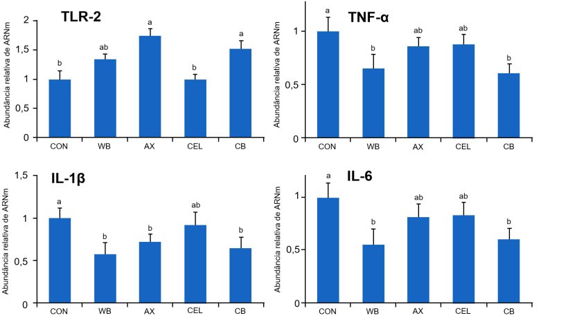 Figura 1. Efeito de distintas fontes de fibra na dieta sobre a express&atilde;o g&eacute;nica dos receptores TLR-2 e citoquinas pr&oacute;-inflamat&oacute;rias no intestino de leit&otilde;es desmamados. CON: dieta controlo sem componentes fibroso WB: dieta suplementada com 10% de s&ecirc;mea de trigo AX: dieta suplementada com uma quantidade de arabinoxilanos equivalente &agrave; fornecida por 10% de s&ecirc;mea de trigo CEL: dieta suplementada com uma quantidade de celulose equivalente &agrave; fornecida por 10% de s&ecirc;mea de trigo (CEL) CB: dieta suplementada com as mesmas quantidades de arabinoxilanos e celulose, conjuntamente. M&eacute;dias com distinta letra difierem de forma estat&iacute;sticamente significativa (p<0,05). Fonte: Chen et col., 2016
