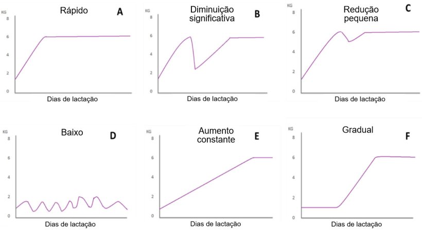 Figura 1. Padrões de alimentação de porcas lactantes descritos por Koketsu et al (1996a). A) Rápido aumento no consumo; B) diminuição significativa; C) pequena redução; D) baixo consumo ao longo de toda a lactação; E) baixo consumo na primeira semana de lactação e aumento constante no resto da lactação; e F) aumento gradual de consumo.