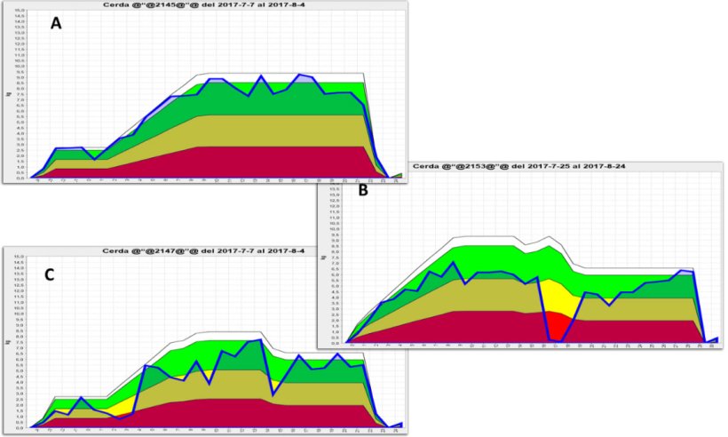 Figura 2. Representação gráfica do consumo de porcas lactantes obtido através do uso de comedouros electrónicos. A) Padrão normal de consumo, B) diminuição significativa; e C) pequena redução de consumo ao longo da lactação. A área verde mostra a ingestão ideal para essa porca em particular, a área amarela é uma advertência de que a ingestão se está a reduzir e a área encarnada representa um forte desvio do padrão normal de consumo e um elevado risco de deterioração reprodutiva posterior. Fonte: GESTAL SOLO, JYGA Technologies.