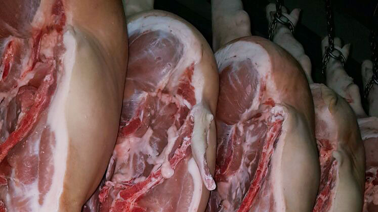 carcaças no matadouro