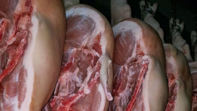 carcaças no matadouro