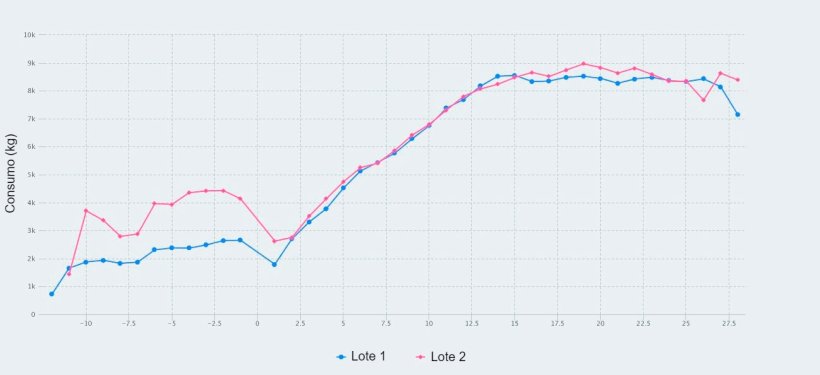 Figura 1. Consumo de ração a partir do dia 107 de gestação até ao desmame (dia 28 de lactação) de porcas alimentadas com um máximo de 2,8 kg/dia (Lote 1) e 4,2 kg/dia (Lote 2) de ração durante os dias anteriores ao parto.
