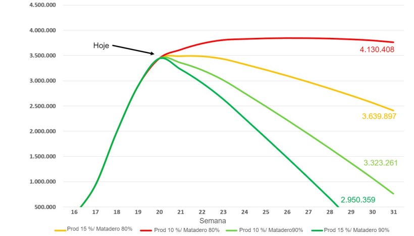 Figura 2. Previs&atilde;o do n&uacute;mero de porcos eutanasiados em EUA at&eacute; finais de Julho considerando 4 poss&iacute;veis cen&aacute;rios
Fonte dos dados: Inqu&eacute;rito de abate NASS do USDA e AMS LM_HG201
