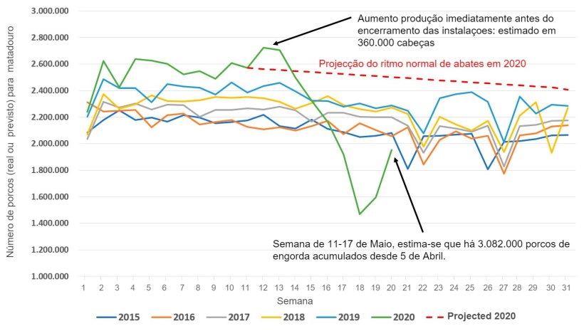 Figura 1. N&uacute;mero de porcos abatidos no matadouro nos EUA por semana, de Janeiro a Julho de 2015 a 2020 ou previs&atilde;o de abate em circunst&acirc;ncias normais (linha vermelha tracejada). Fonte dos dados:  Inqu&eacute;rito de abate NASS do USDA e AMS LM_HG201