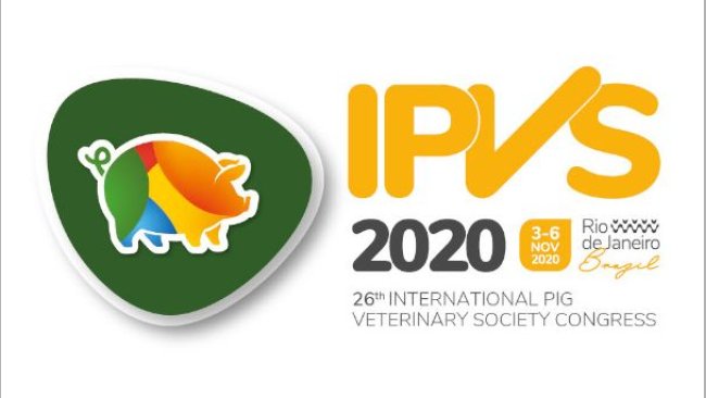 IPVS