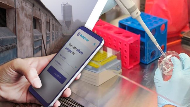 Imagem 2. Ilustração da futura plataforma de diagnóstico do Dr. Nauwynck.