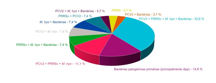 Figura 1: Combina&ccedil;&otilde;es de agentes patog&eacute;nicos encontradas em casos de campo de CRP diagnosticados nos &uacute;ltimos 4 anos no Servi&ccedil;o de Anatomia Patol&oacute;gica da Faculdade de Veterin&aacute;ria da Universidade de M&uacute;rcia.
