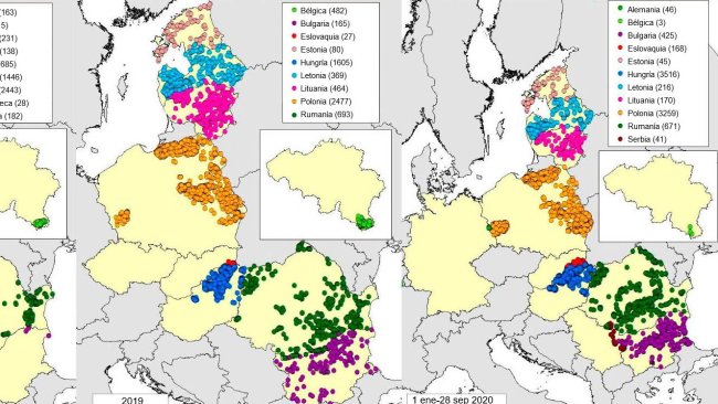 Mapa de casos em javalis declarados em 2018, 2019 e 2020 (até 28 de Setembro de 2020) (Fonte: MAPA a partir de dados de RASVE-ADNS)