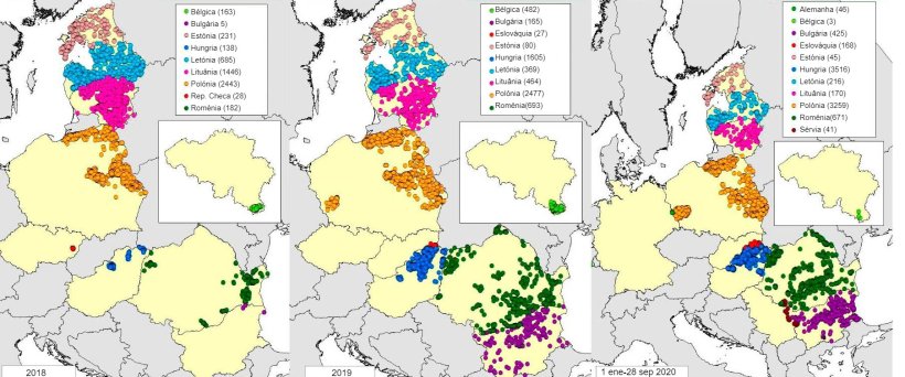 Mapa de casos em javalis declarados em 2018, 2019 e 2020 (at&eacute; 28 de Setembro de 2020) (Fonte: MAPA a partir de dados de RASVE-ADNS)
