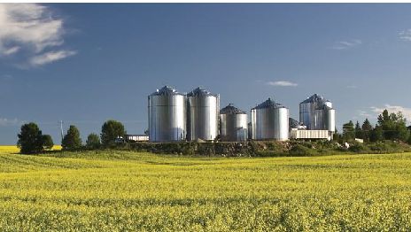 Imagem 2. F&aacute;brica de ra&ccedil;&otilde;es nos EUA. Fonte ANACAN.
