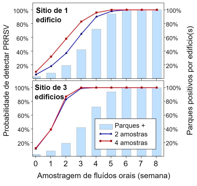 Figura 1. Detec&ccedil;&atilde;o de PRRSV usando amostragem fixa espacial. Probabilidade de detectar &ge; 1 amostra positiva a PRRSV como fun&ccedil;&atilde;o do n&uacute;mero de amostras recolhidas por parque (2 ou 4) e n&uacute;mero de parques amostrados por explora&ccedil;&atilde;o (1 ou 3). Note que a probabilidade de detec&ccedil;&atilde;o aumenta geometricamente com o n&uacute;mero de cordas e pavilh&otilde;es amostrados. Dados de Rotolo et al., (2017). 
