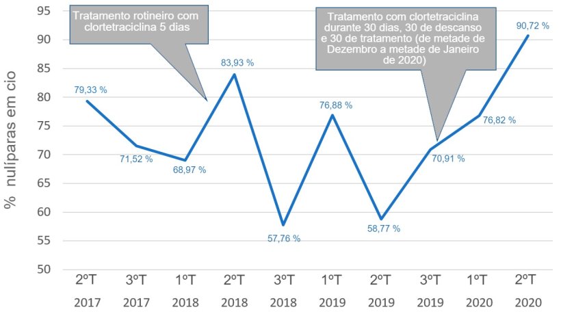 Gráfico 1. Evolução da percentagem de nulíparas com sinais de cio.
