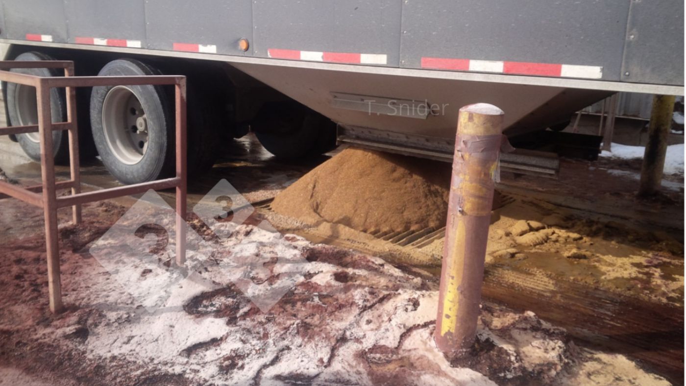 Imagem 2. Exemplo de recep&ccedil;&atilde;o de ingredientes a granel com alto potencial de contamina&ccedil;&atilde;o.