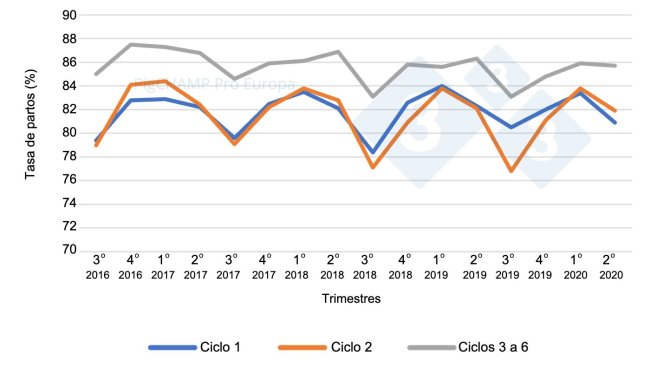 Gráfico 4. Tasa de partos por ciclo y trimestres de cubriciones, cubriciones periodo Julio 16-Junio 20.