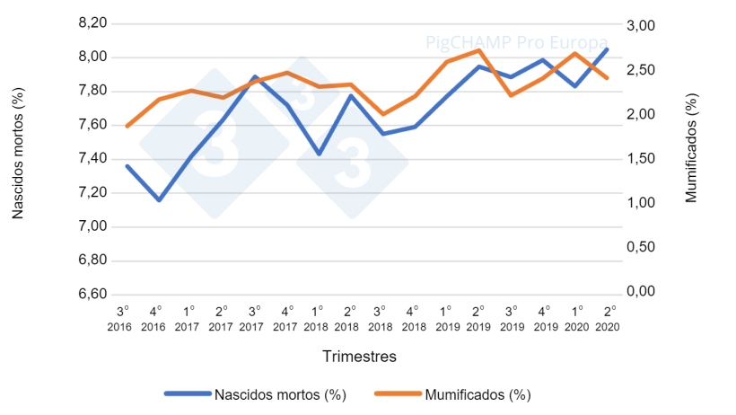 Gráfico 3. Porcentajes de nacidos muertos y momificados por trimestres de cubriciones, cubriciones periodo Julio 16-Junio 20.