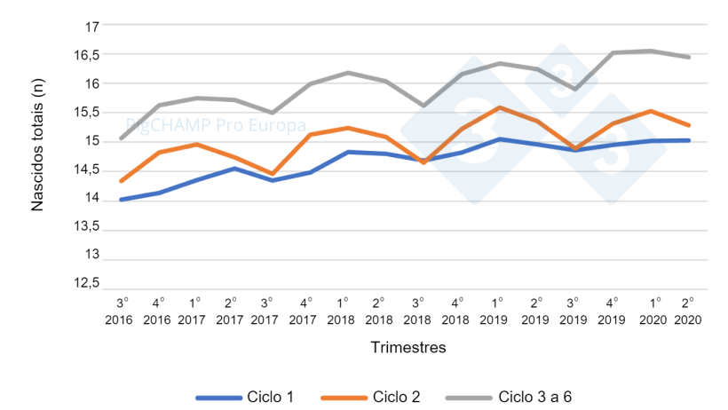 Gráfico 5. Prolificidad por ciclo y trimestres de cubriciones, cubriciones periodo Julio 16-Junio 20.