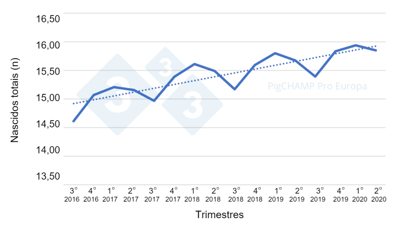 Gráfico 2. Prolificidad por trimestres de cubriciones, cubriciones periodo Julio 16-Junio 20.