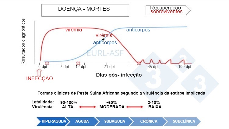 Figura 1. Esquema da detec&ccedil;&atilde;o de v&iacute;rus e anticorcorpos, assim como a variabilidade na virul&ecirc;ncia da estirpe despois da exposi&ccedil;&atilde;o &agrave; PSA. Fonte: Laborat&oacute;rio de refer&ecirc;ncia da Uni&atilde;o Europeia para a PSA.
