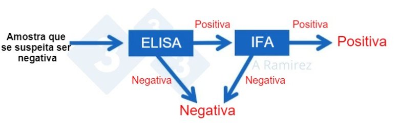 Figura 2. Diagrama demonstrando o uso de PSA IFA como um teste confirmat&oacute;rio para amostras que s&atilde;o inesperadamente positivas para PSA por ELISA. Uma amostra negativa presum&iacute;vel que &eacute; negativa por ELISA &eacute; considerada negativa. Se esta amostra der inesperadamente um resultado positivo, ent&atilde;o um IFA PSA pode ser realizado como um teste de confirma&ccedil;&atilde;o. Ou seja, se o teste IFA for positivo, a amostra &eacute; confirmada como positiva. Se o teste IFA for negativo, presumiremos que foi um falso positivo tamb&eacute;m contanto que o PCR tamb&eacute;m seja negativo para confirmar que n&atilde;o h&aacute; infec&ccedil;&atilde;o recente. 
