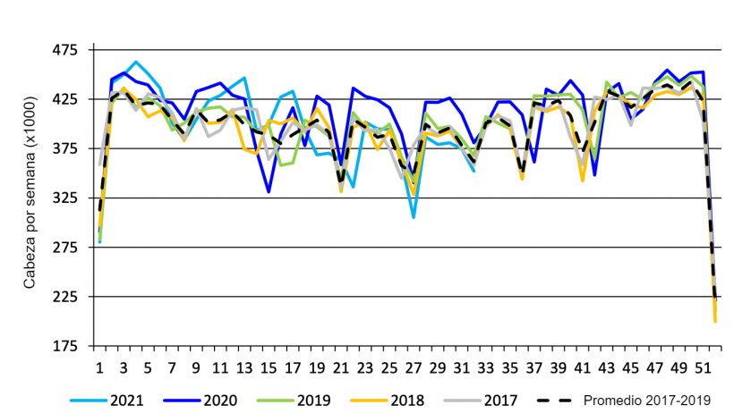 Sacrificio porcino semanal en el mercado federal canadiense. Fuente: USDA from Agriculture and Agri-Food Canada.