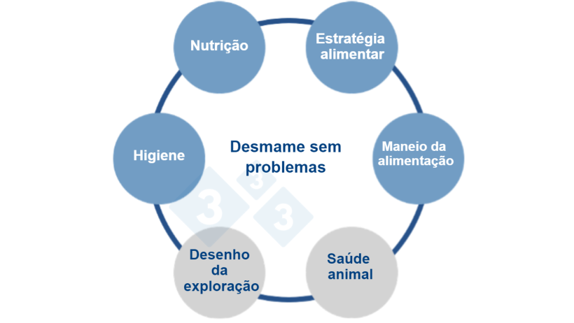 Figura 1. Uma abordagem multifactorial para a alimentação sem zinco. Fonte: Vilomix.