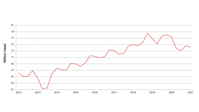Censo porcino trimestral de Estados Unidos&nbsp;- 1 de diciembre. Fuente: USDA.
