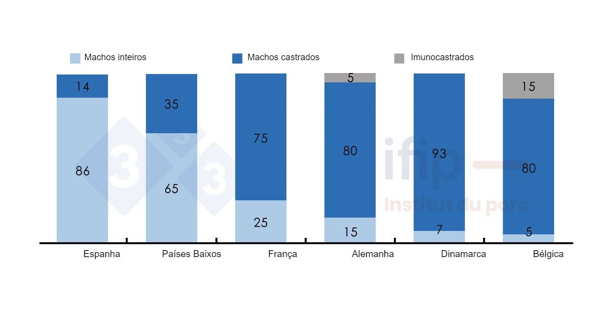 Percentagens de abate de porcos machos inteiros, castrados ou imunocastrados.
