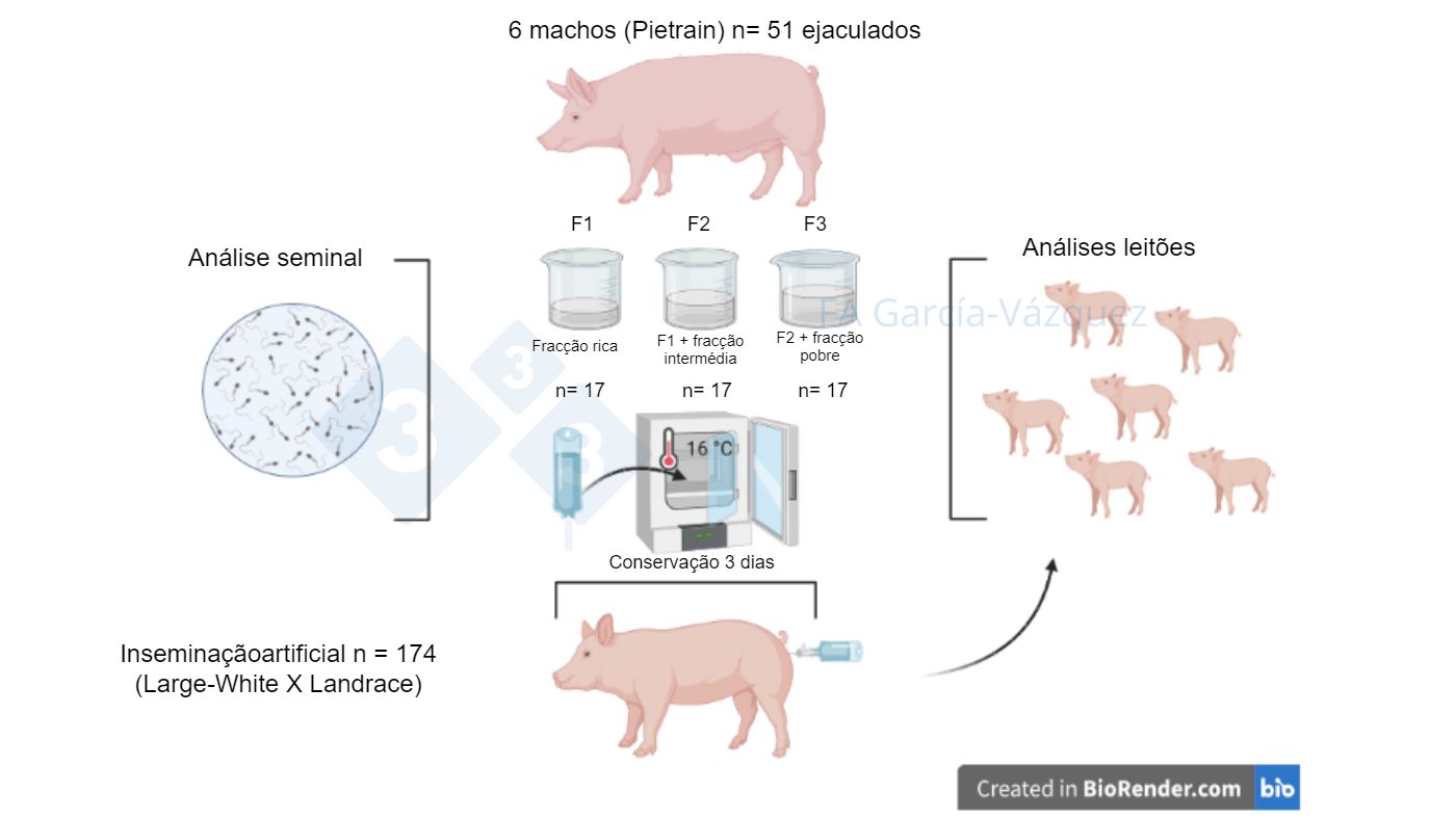 Figura 1. Resumo gr&aacute;fico do estudo
