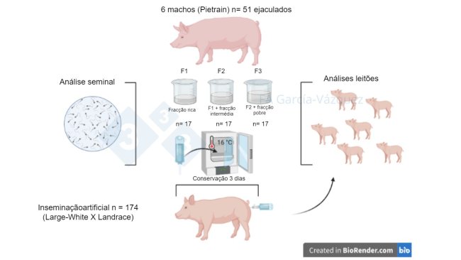 Figura 1. Resumo gráfico do estudo