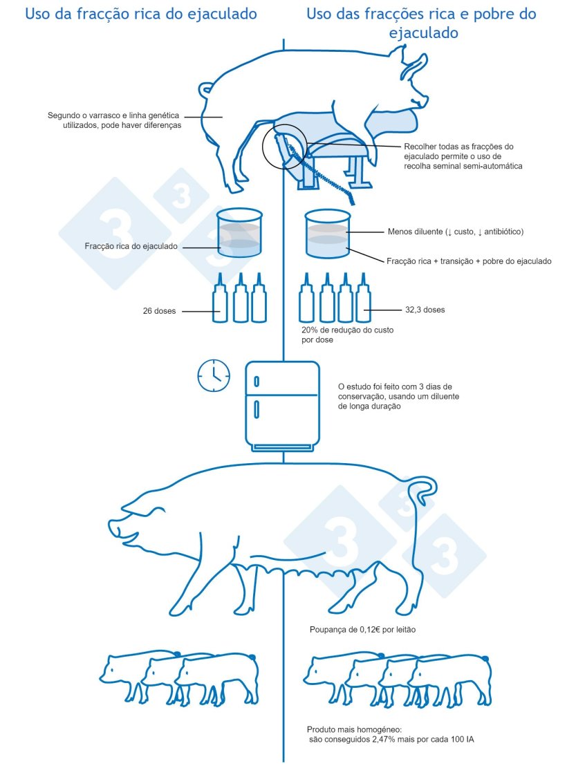 Figura 2. Vantagens e limita&ccedil;&otilde;es do uso de todas as frac&ccedil;&otilde;es do ejaculado
