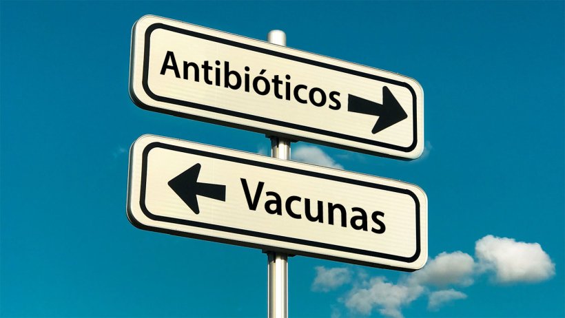 A intensifica&ccedil;&atilde;o da produ&ccedil;&atilde;o de ra&ccedil;&otilde;es e o aparecimento de novos sistemas de produ&ccedil;&atilde;o (tais como "Criado sem antimicrobianos" ou sistemas biol&oacute;gicos") resultou no aparecimento&nbsp;ou ressurgimento&nbsp;de agentes patog&eacute;nicos. Estas novas tend&ecirc;ncias sociais, associadas ao desejo de reduzir a utiliza&ccedil;&atilde;o de antimicrobianos na produ&ccedil;&atilde;o animal, real&ccedil;am a import&acirc;ncia de melhorar as vacinas existentes e/ou desenvolver novas estrat&eacute;gias de vacina&ccedil;&atilde;o para combater os agentes patog&eacute;nicos emergentes ou reemergentes.