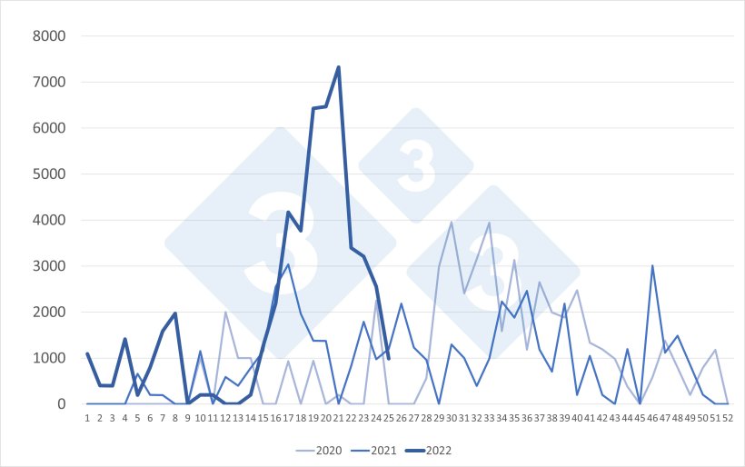 Importa&ccedil;&otilde;es semanais de porcos holandeses (cabe&ccedil;a). Fonte: 333 com base em dados do RVO