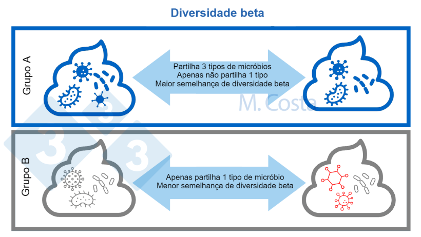 Figura 3. Compreender mudan&ccedil;as na composi&ccedil;&atilde;o microbiana entre amostras (diversidade beta). Uma comunidade microbiana mais semelhante partilha mais tipos de micr&oacute;bios entre amostras. Normalmente, outros aspectos (tais como rela&ccedil;&otilde;es gen&eacute;ticas entre micr&oacute;bios) s&atilde;o tidos em conta no c&aacute;lculo do &iacute;ndice de diversidade beta.
