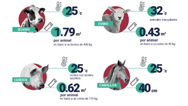 Espacio y temperaturas recomendados por animal. Fuente: EFSA.