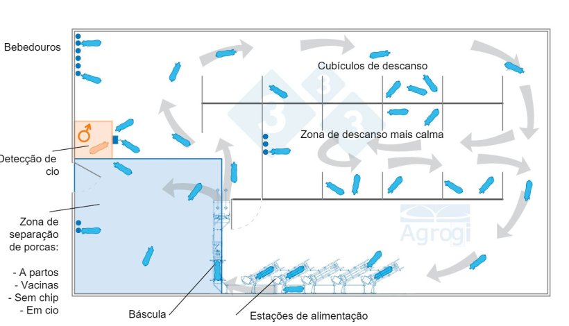 Gesta&ccedil;&atilde;o em grupo din&acirc;mico com controlo de peso