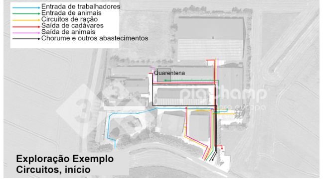 Imagem 1. Circuitos de movimento, de partida
