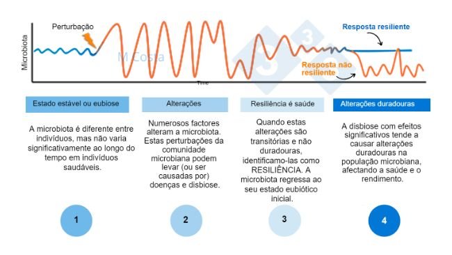 Figura 1 - Diagrama hipotético que representa a resposta da microbiota a uma perturbação. 1) Os indivíduos sãos têm um grau normal de variação da sua microbiota, que não conduz a doenças (isto é denominado eubiose). 2) Uma perturbação (por exemplo, o stress térmico) pode conduzir à instabilidade da microbiota, causando a doença. 3) A microbiota resiliente voltará a um estado parecido ao anterior à perturbação no qual não há doença. 4) A microbiota que não seja resiliente não se "recuperará", pelo que vai sofrer disbiose e doença.
