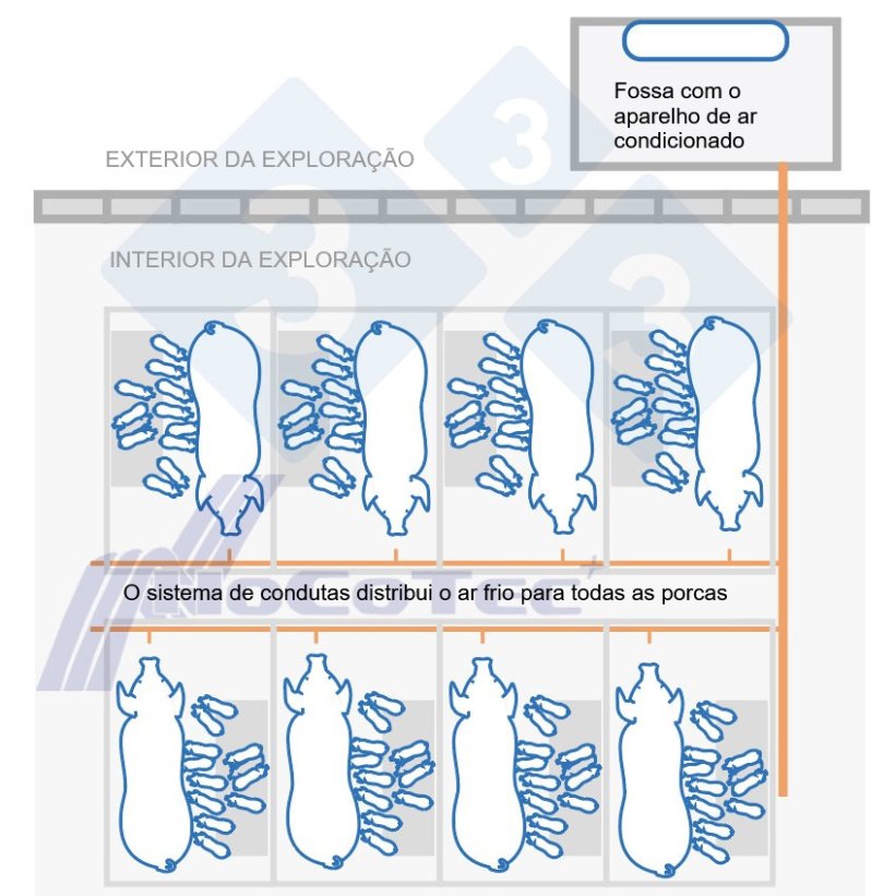 Funcionamento do sistema Freshnose
